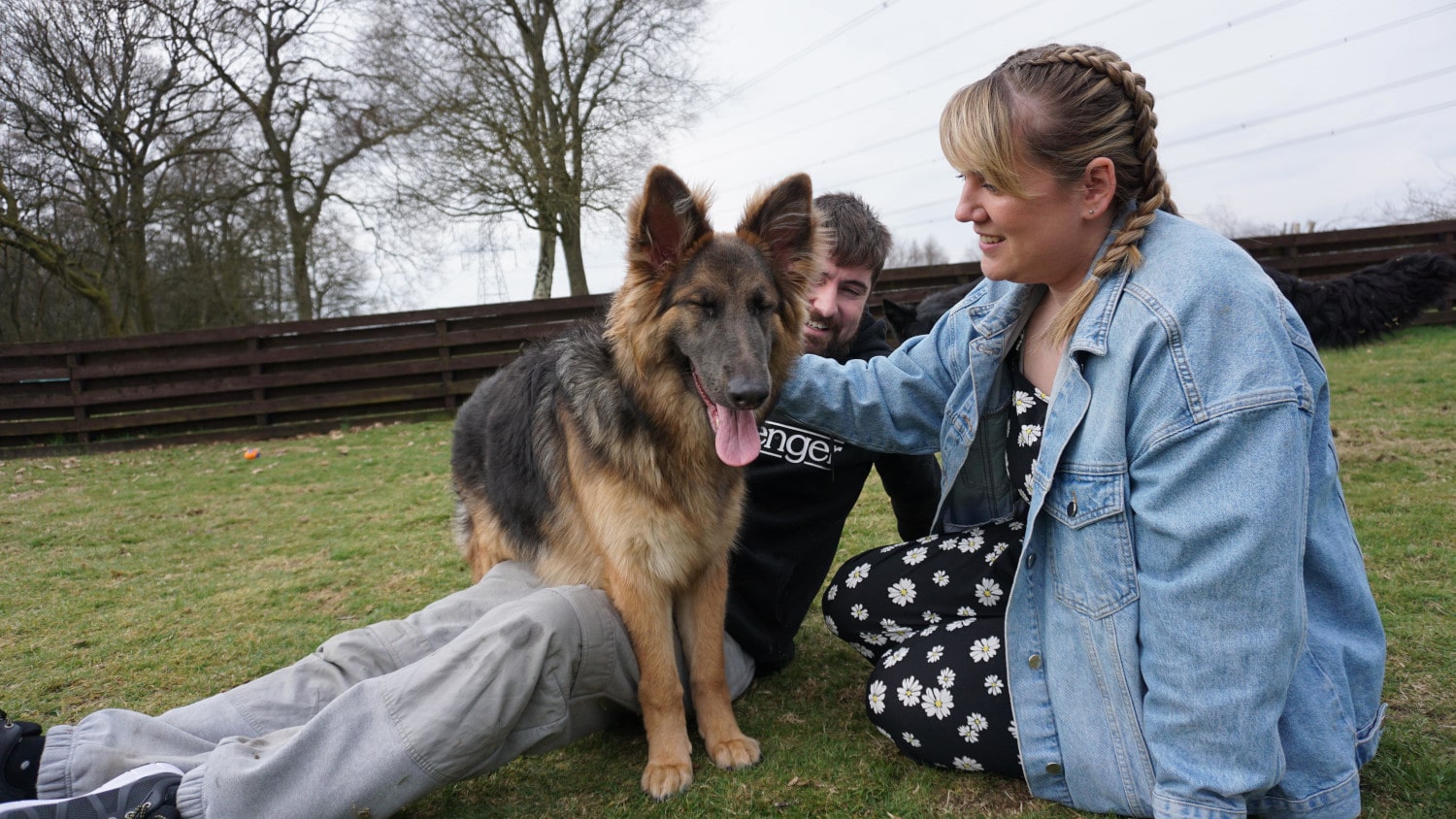 Photo of the kennel owners playing with a German Shepherd puppy.