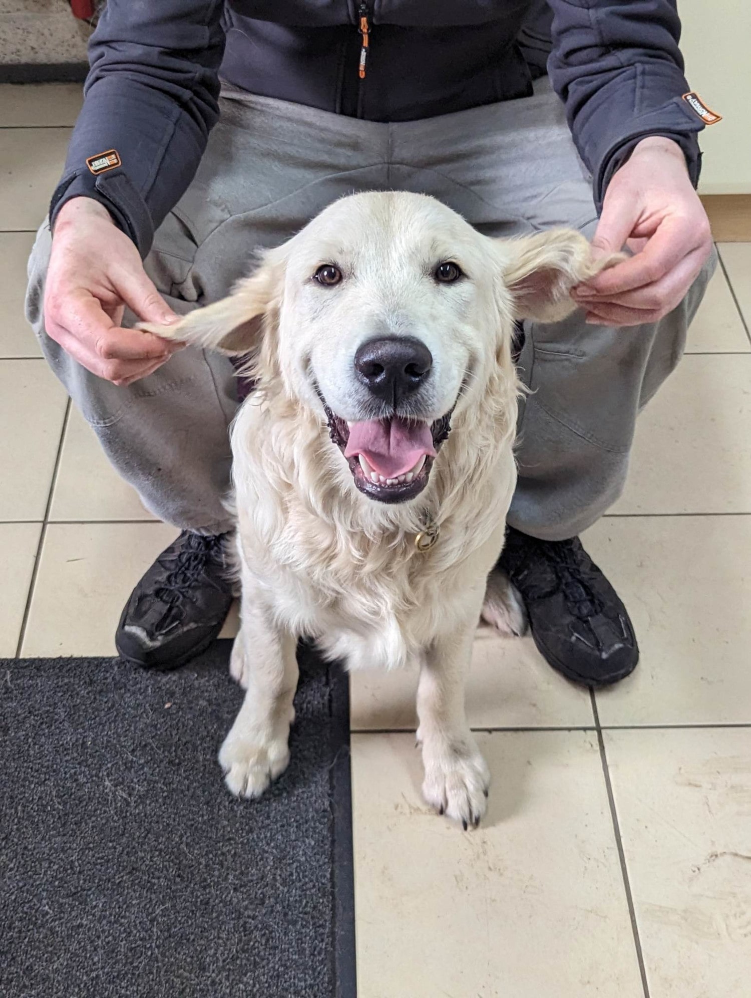 Photo of a happy dog enjoying being petted by one of the kennel staff.